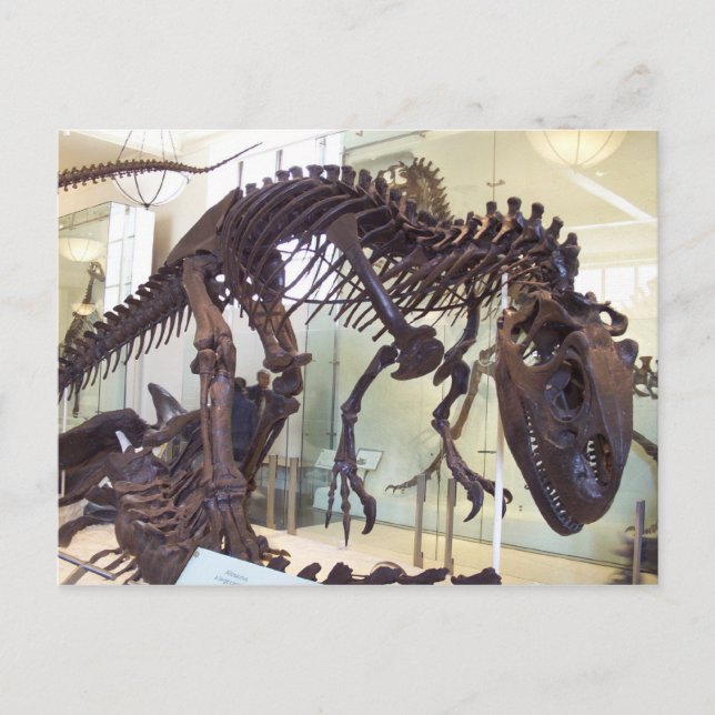 Cartão Postal Ossos (Frente)