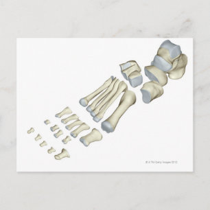 Cartão Postal Ossos do Pé 9