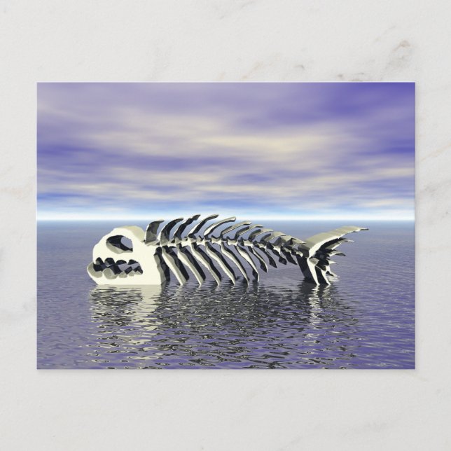 Cartão Postal Ossos do Peixe (Frente)