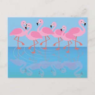 Cartão Postal Ostentação de Flamingos