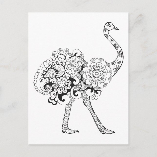 Cartão Postal Ostrich inspirado (Frente)