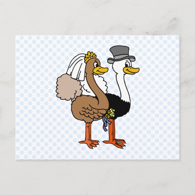 Cartão Postal Ostrichs casado (Frente)