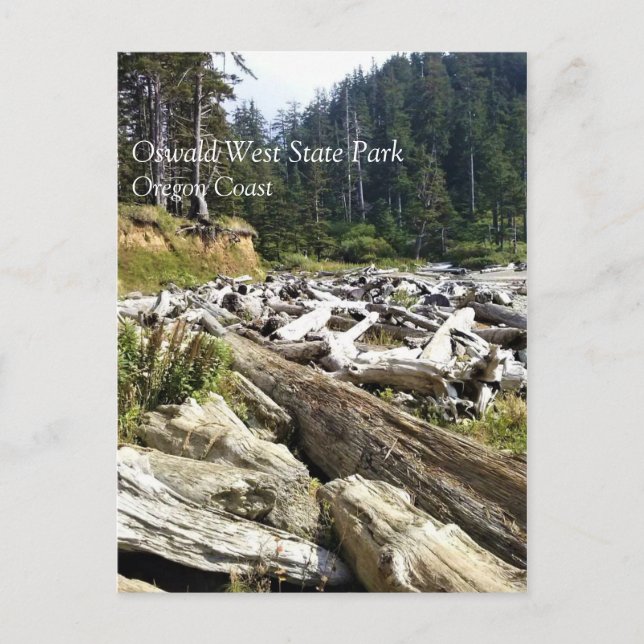Cartão Postal Oswald West State Park, Costa do Oregon (Frente)