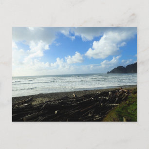 Cartão Postal Oswald West State Park, Costa do Oregon