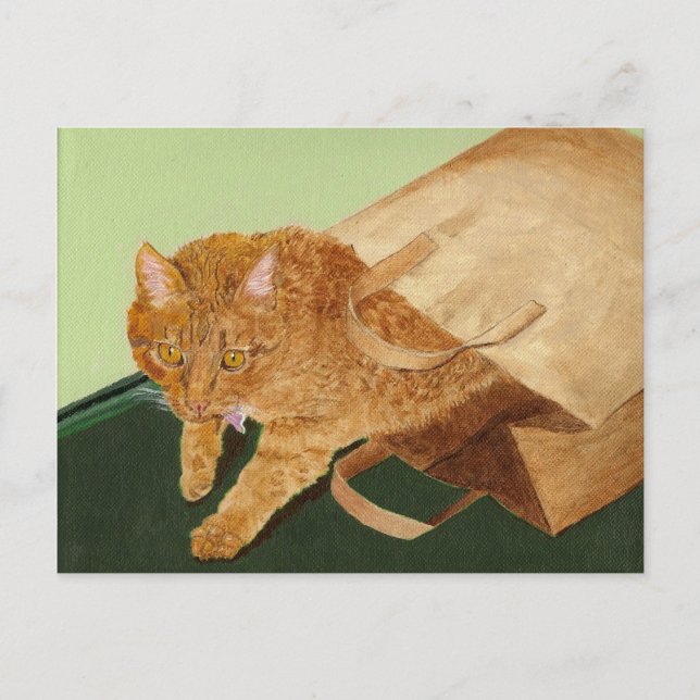 Cartão Postal Otis, o Gato (Frente)