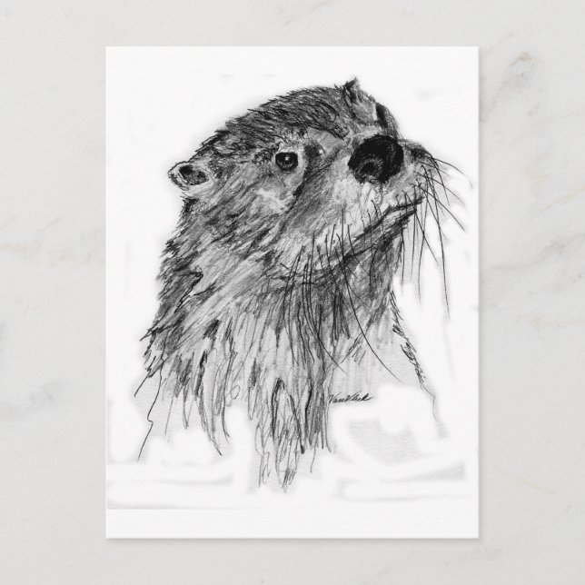 Cartão Postal Otter Whiskers (Frente)