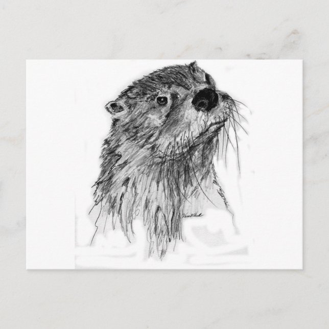 Cartão Postal Otter Whiskers (Frente)