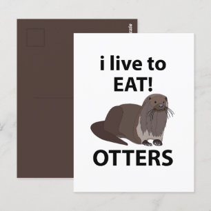 Cartão Postal Otters I Live Para Comer Otters Engraçados
