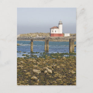 Cartão Postal OU, Costa do Oregon, Bandon, Rio Coquille 2