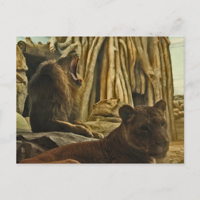 Cartão Postal Ouça-me Rugir! (Frente)