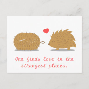 Cartão Postal Ouriço Fofo encontra seu verdadeiro amor em um pin