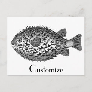 Cartão Postal ouriço peixe-sapo Thunder_Cove