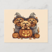 Ouro de Halloween Cães de Retriever Jack O Lantern