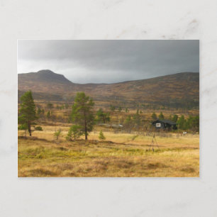 Cartão Postal Ouro do outono num planalto montanhoso norueguês