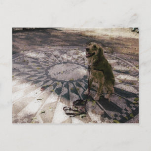 Cartão Postal Ouro em Strawberry Fields também conhecido como C