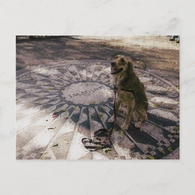 Cartão Postal Ouro em Strawberry Fields também conhecido como Ca (Frente)