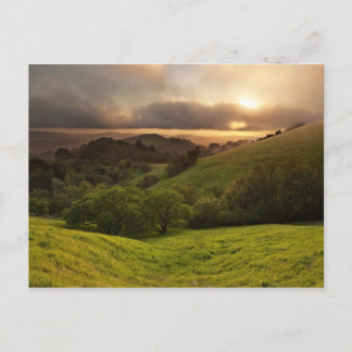 Cartão Postal Ouro Foggy Sunset, Califórnia