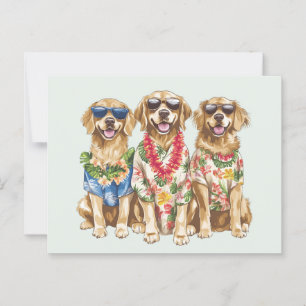 Cartão Postal Ouro Havaiano - Cães de Retriever - Flor Lei
