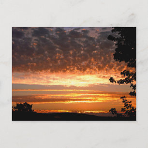 Cartão Postal Ouro Morning