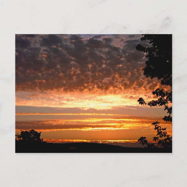 Cartão Postal Ouro Morning (Frente)