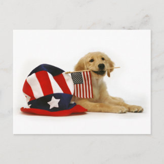 Cartão Postal Ouro Patriótico Puppy