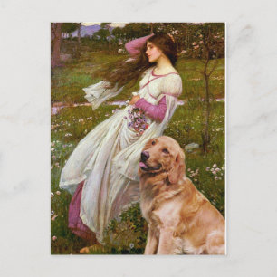 Cartão Postal Ouro Retriever 1 - Flores para-brisas