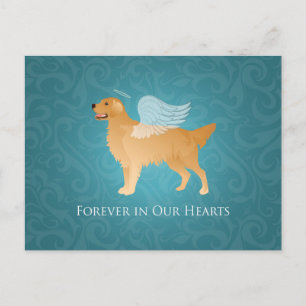 Cartão Postal Ouro Retriever Angel Dog - Memorial Pet