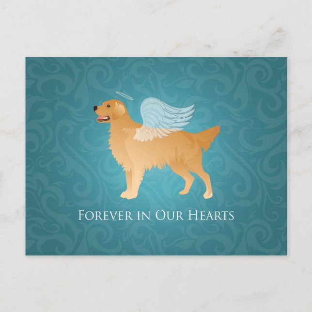 Cartão Postal Ouro Retriever Angel Dog - Memorial Pet (Frente)
