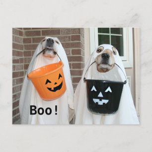 Cartão Postal Ouro Retriever Halloween Ghosts