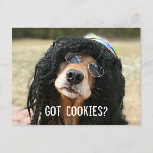 Cartão Postal Ouro Retriever Hippie "Tem Cookies?"