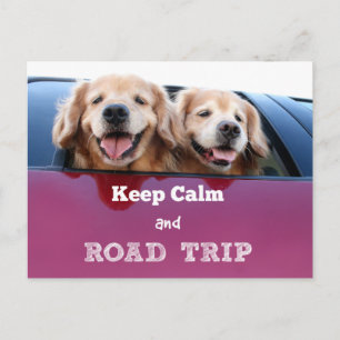 Cartão Postal Ouro Retriever Mantenha Calma e Viagem Rodoviária
