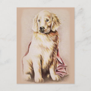 Cartão Postal Ouro Retriever Puppy cão com retrato de estimação