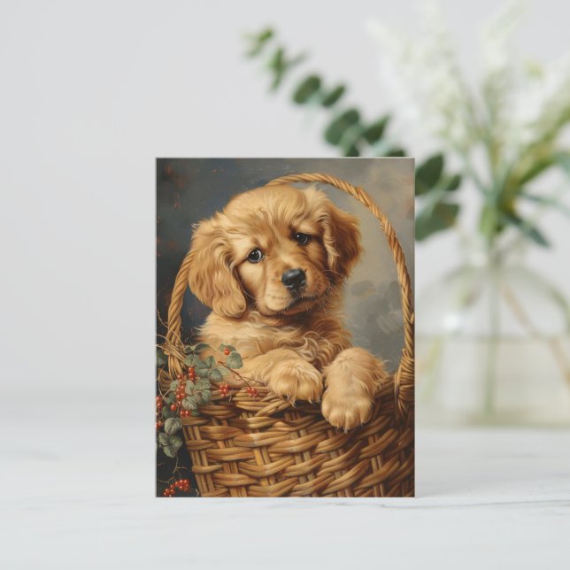 Cartão Postal Ouro Retriever Puppy em um soquete (Em pé/Frente)