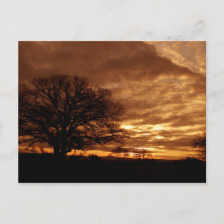 Cartão Postal Ouro sunset California