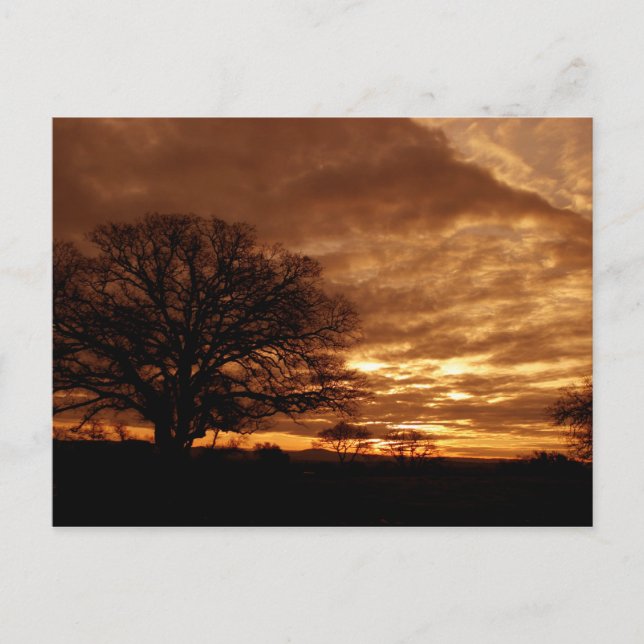 Cartão Postal Ouro sunset California (Frente)