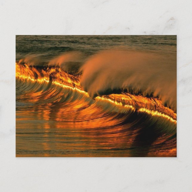 Cartão Postal Ouro Wave no Sunset, México (Frente)