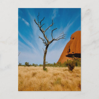 Cartão Postal Outback Austrália