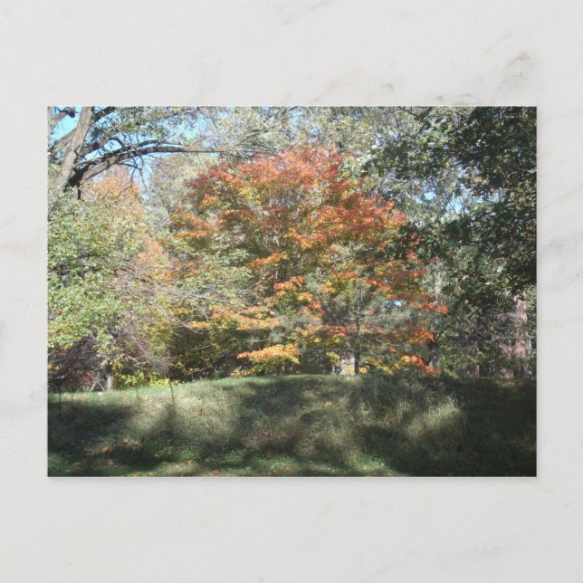 Cartão Postal Outono (Frente)