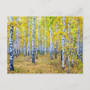 Cartão Postal Outono