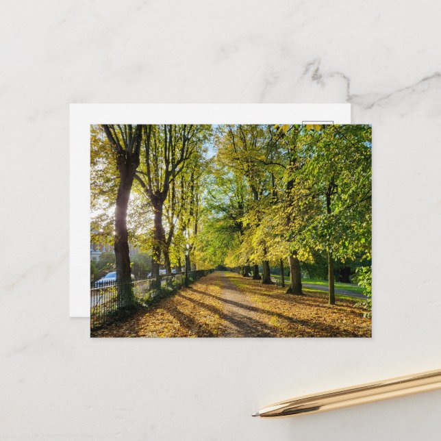 Cartão Postal Outono (Frente/Verso In Situ)