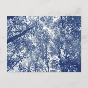 Cartão Postal Outono Azul - Efeito Cianotipia