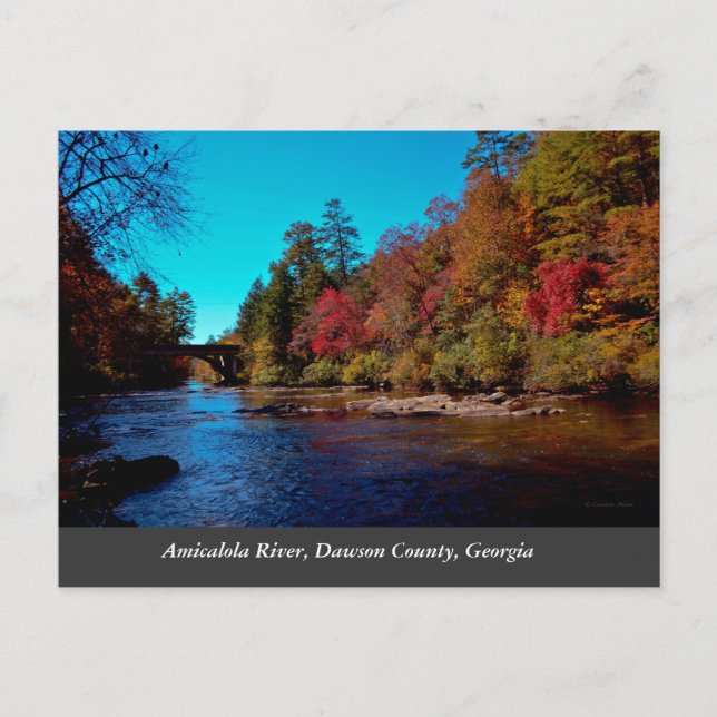 Cartão Postal outono da Geórgia (Frente)