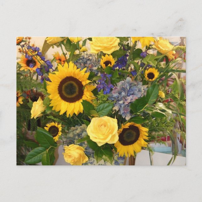 Cartão Postal outono de 2011 (Frente)