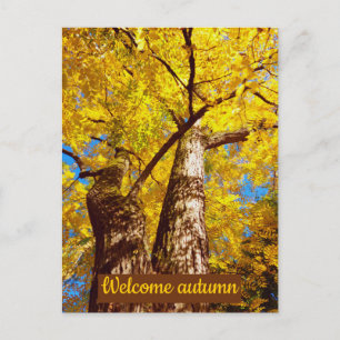 Cartão Postal outono de boas-vindas