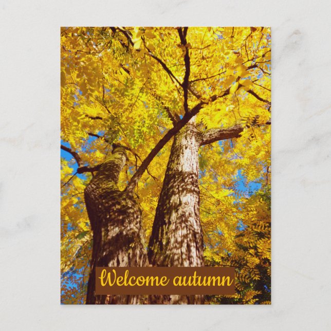 Cartão Postal outono de boas-vindas (Frente)