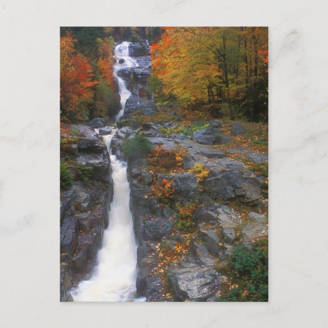 Cartão Postal outono de Cascata de Prata (Frente)