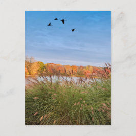 Cartão Postal outono de Connecticut pintado