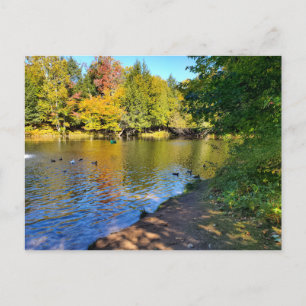 Cartão Postal Outono em Michigan