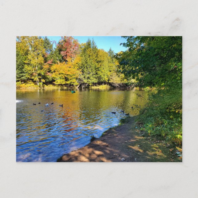 Cartão Postal Outono em Michigan (Frente)