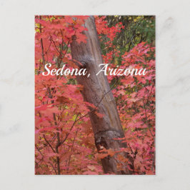 Cartão Postal Outono em rosa em Sedona